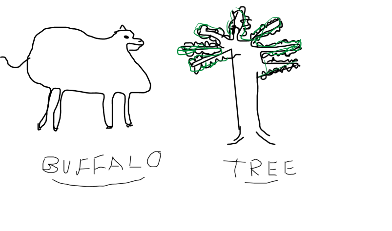 buffalo grarhic